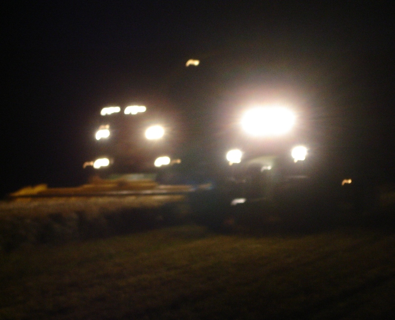 Harvesting barley at night 
