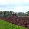 Cultivating Maize ground 