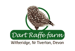 Dart Raffe Farm